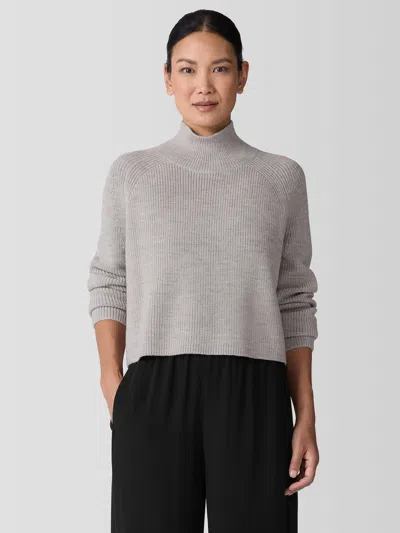 Eileen Fisher Merino Turtleneck Top In Gray