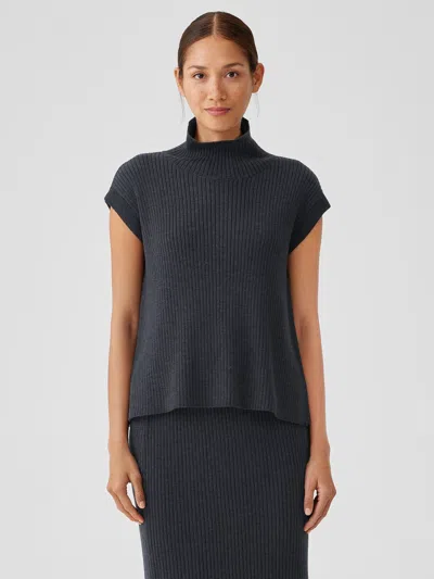 Eileen Fisher Merino Turtleneck Top In Regenerative Wool In Blue