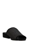Eileen Fisher Noko Raffia Slide Sandal In Black