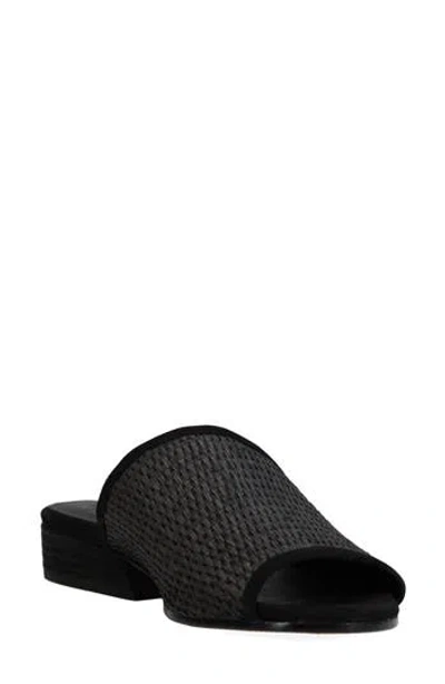 Eileen Fisher Noko Raffia Slide Sandal In Black