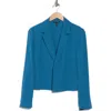 Eileen Fisher Notch Lapel Silk Blazer In Blue