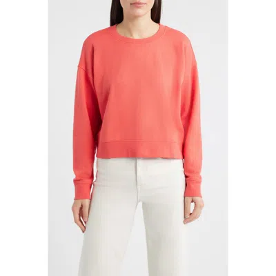 Eileen Fisher Organic Cotton Crop Sweatshirt In Red
