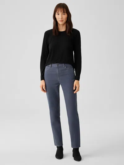 Eileen Fisher Organic Cotton Denim Slim Jean In Blue