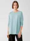 Eileen Fisher Cozy Brushed Terry Hug Raglan-sleeve Top In Green