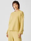 Eileen Fisher Organic Cotton French Terry Box-top In Brown