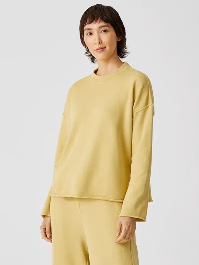 Eileen Fisher Organic Cotton French Terry Box-top In Brown