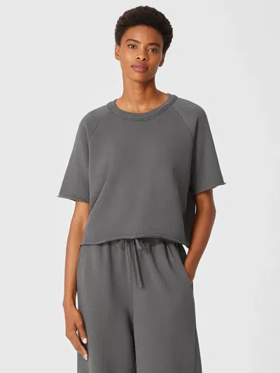 Eileen Fisher Organic Cotton French Terry Box-top In Gray