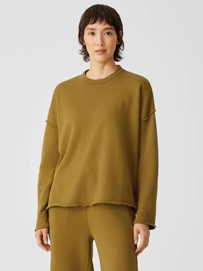 Eileen Fisher Organic Cotton French Terry Box-top In Green