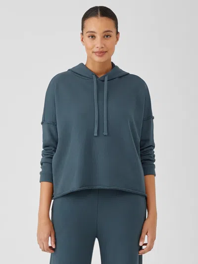 Eileen Fisher Organic Cotton French Terry Hooded Top In Gray
