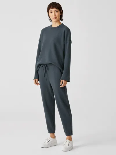 Eileen Fisher Organic Cotton French Terry Jogger Pant In Blue