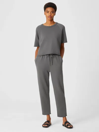 Eileen Fisher Organic Cotton French Terry Jogger Pant In Gray