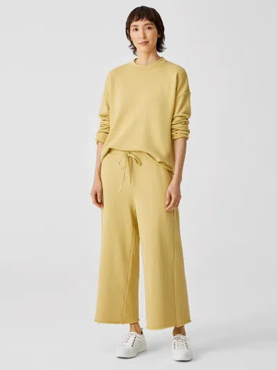 Eileen Fisher Organic Cotton French Terry Wide-leg Pant In Brown