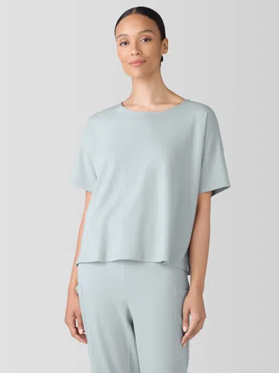 Eileen Fisher Organic Cotton Interlock Sleep Tee In Blue