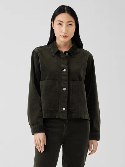 Eileen Fisher Organic Cotton Stretch Corduroy Jacket In Green