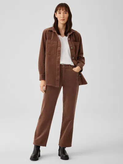 Eileen Fisher Organic Cotton Stretch Corduroy Straight Pant In Brown