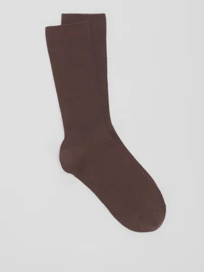 Eileen Fisher Organic Cotton Trouser Sock In Brown