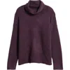 Eileen Fisher Organic Cotton Turtleneck Sweater In Violet