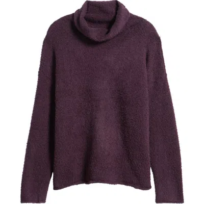 Eileen Fisher Organic Cotton Turtleneck Sweater In Violet