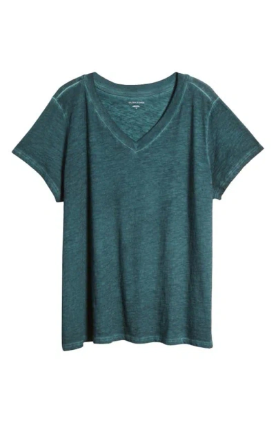 Eileen Fisher Organic Cotton V-neck T-shirt In Aegean