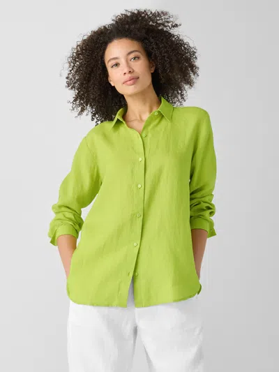 EILEEN FISHER ORGANIC HANDKERCHIEF LINEN CLASSIC COLLAR SHIRT