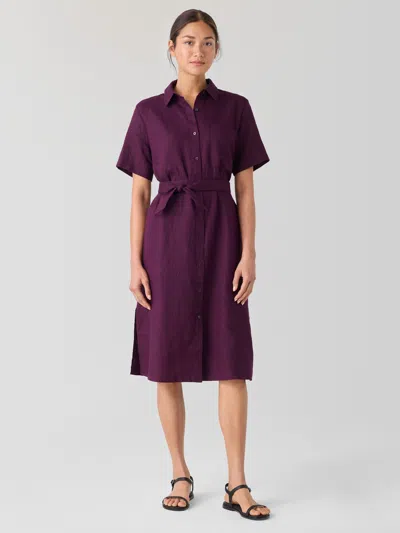 Eileen Fisher Organic Linen Classic Collar Shirtdress In Purple