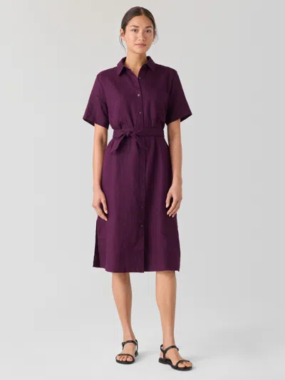 Eileen Fisher Organic Linen Classic Collar Shirtdress In Purple