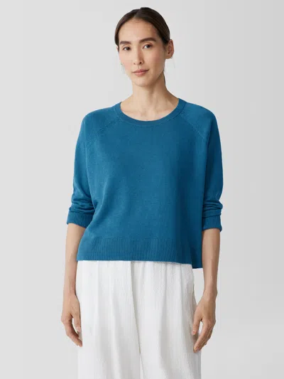Eileen Fisher Organic Linen Cotton Raglan-sleeve Top In Blue