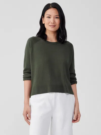 Eileen Fisher Organic Linen Cotton Raglan-sleeve Top In Green