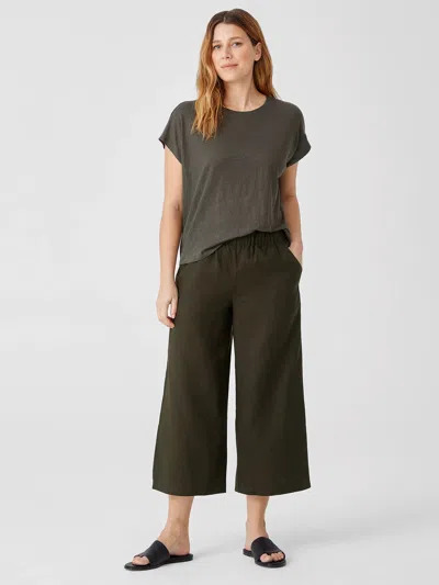 Eileen Fisher Organic Linen Wide-leg Pant In Green