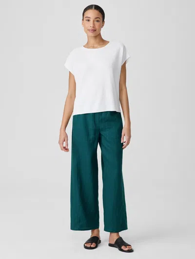 Eileen Fisher Organic Linen Wide Trouser Pant In Blue