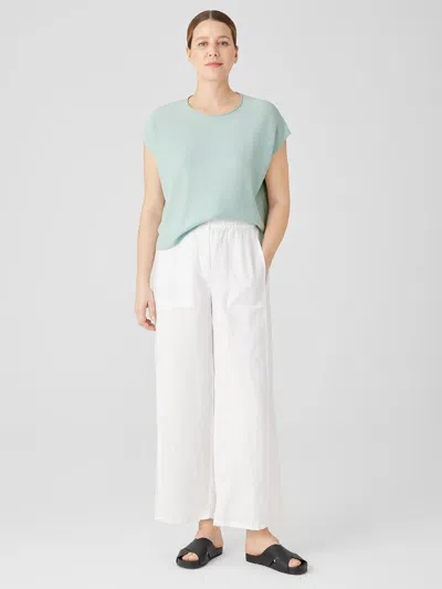 Eileen Fisher Organic Linen Wide Trouser Pant In Blue