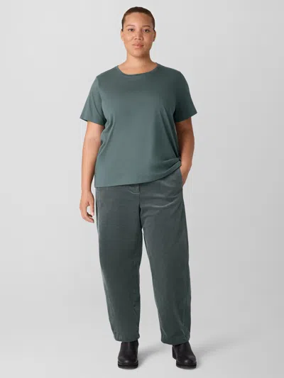 Eileen Fisher Organic Pima Cotton Jersey Round Neck Tee In Multi