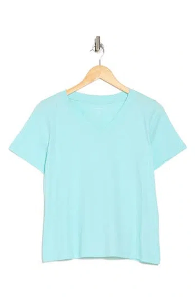 Eileen Fisher Organic V-neck T-shirt In Prism