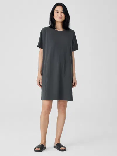 Eileen Fisher Pima Cotton Stretch Jersey T-shirt Dress In Black