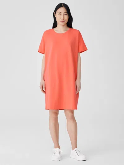Eileen Fisher Pima Cotton Stretch Jersey T-shirt Dress In Pink
