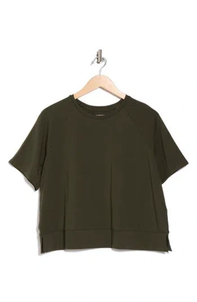 Eileen Fisher Raglan Sleeve Organic Cotton Blend T-shirt In Green
