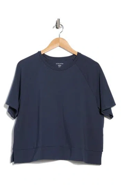 Eileen Fisher Raglan Sleeve Organic Cotton Blend T-shirt In Blue