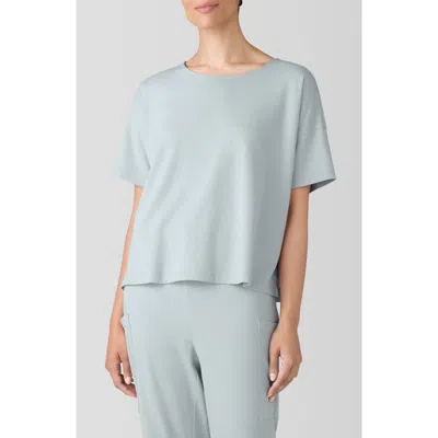 Eileen Fisher Sleep Boxy Organic Cotton Pajama Top In Frost