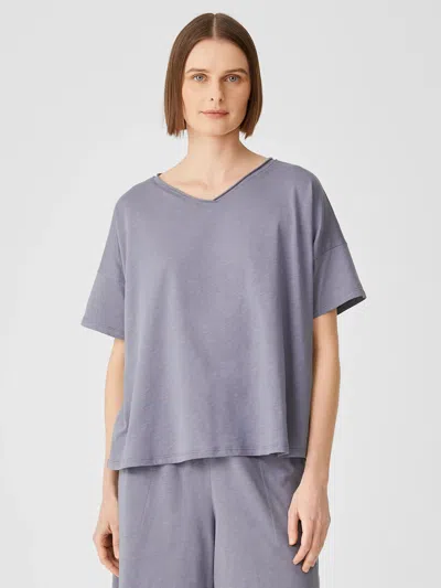 Eileen Fisher Slubby Organic Cotton V-neck Sleep Tee In Blue
