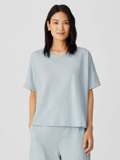 Eileen Fisher Slubby Organic Cotton V-neck Sleep Tee In Blue