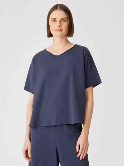 Eileen Fisher Slubby Organic Cotton V-neck Sleep Tee In Blue