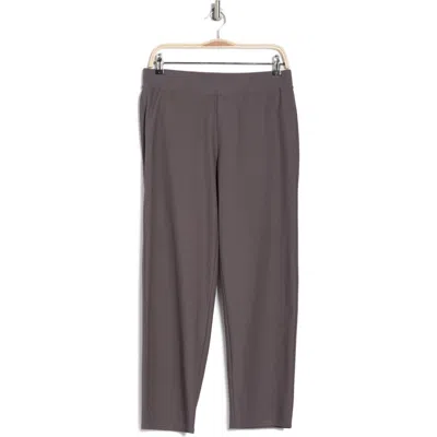 Eileen Fisher Straight Leg Ankle Pants In Meteor