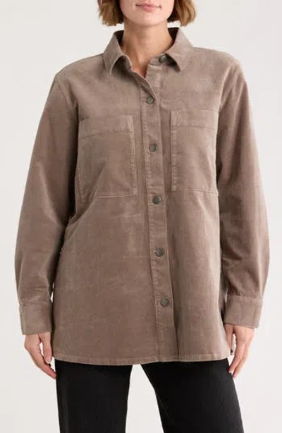 Eileen Fisher Stretch Organic Cotton Corduroy Classic Collar Jacket In Brown
