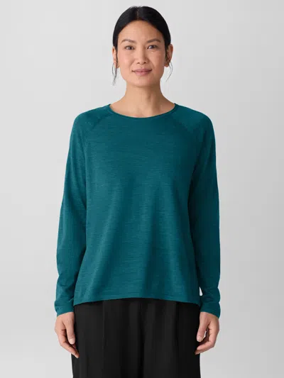 Eileen Fisher Superfine Merino Crew Neck Top In Regenerative Wool In Blue
