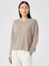 Eileen Fisher Cozy Brushed Terry Hug Raglan-sleeve Top In Brown
