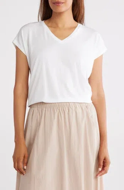 Eileen Fisher V-neck Boxy Top