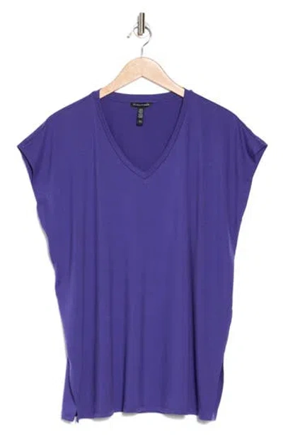 Eileen Fisher V-neck Boxy Top In Athena