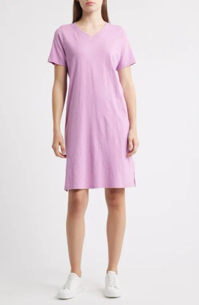 Eileen Fisher V-neck Organic Cotton T-shirt Dress