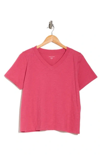 Eileen Fisher V-neck Organic Cotton T-shirt In Geranium