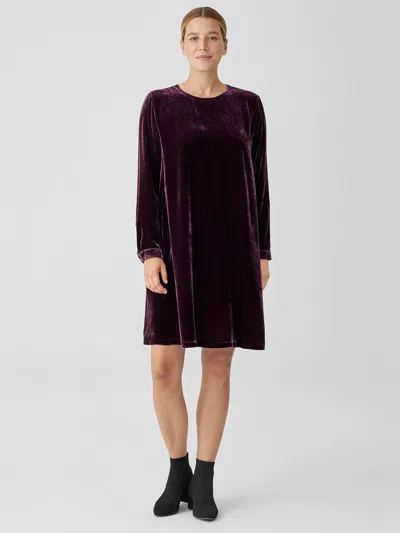 Eileen Fisher Velvet Crew Neck Dress In Purple